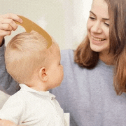 Brosse-à-cheveux